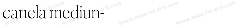 canela mediun字体转换